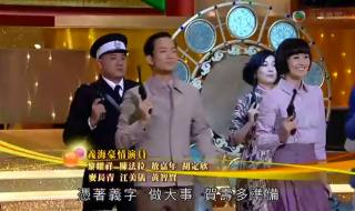 刑事2010剧情介绍 2010万千星辉贺台庆